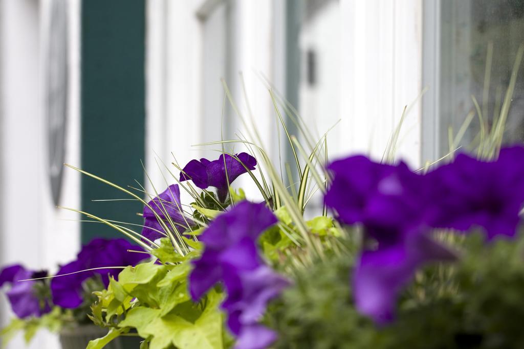 Haus Am Giebel Apartment ไฮม์บาค ภายนอก รูปภาพ